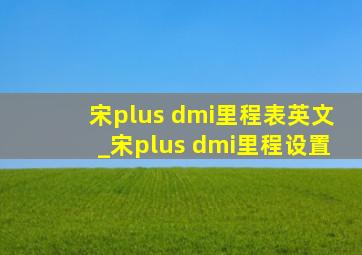 宋plus dmi里程表英文_宋plus dmi里程设置